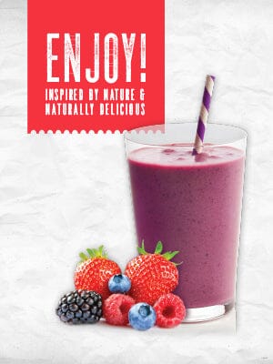 Dr. Smoothie Four Berry Fruit Smoothie Concentrate